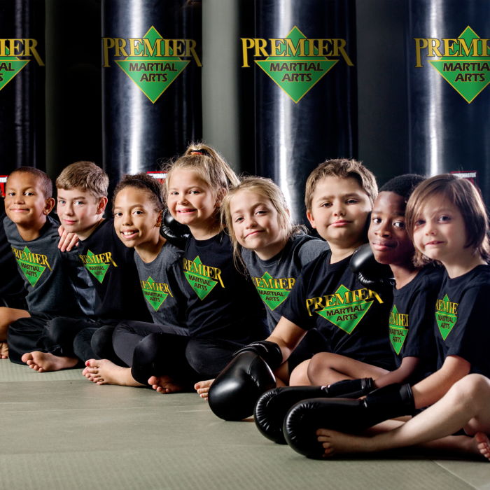 Premier Martial Arts Scarsdale | 1469 Weaver St, Scarsdale, NY 10583 | Phone: (914) 877-2434