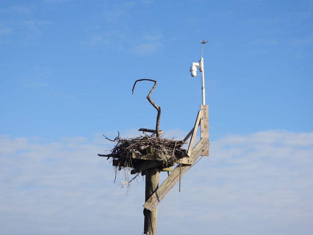 Marine Nature Study Area | 500 Slice Dr, Oceanside, NY 11572 | Phone: (516) 766-1580