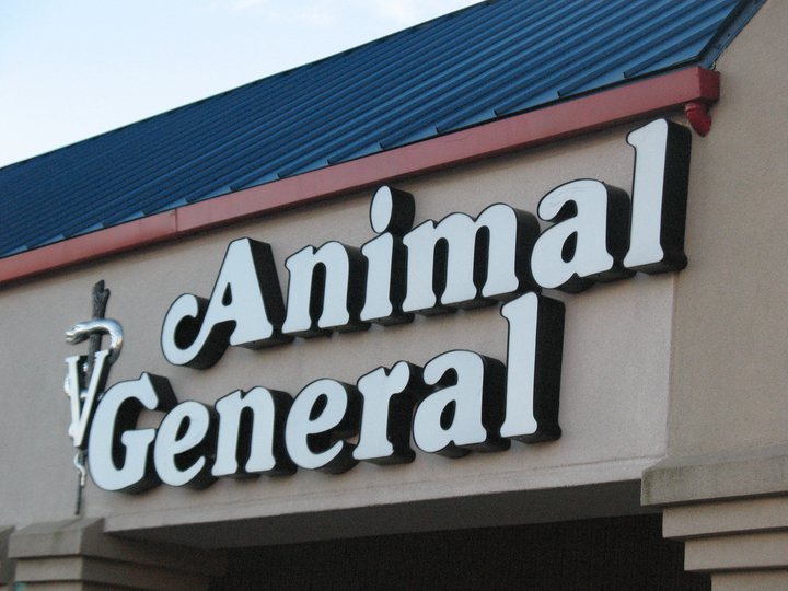 Animal General | 725 River Rd, Edgewater, NJ 07020 | Phone: (201) 313-7000