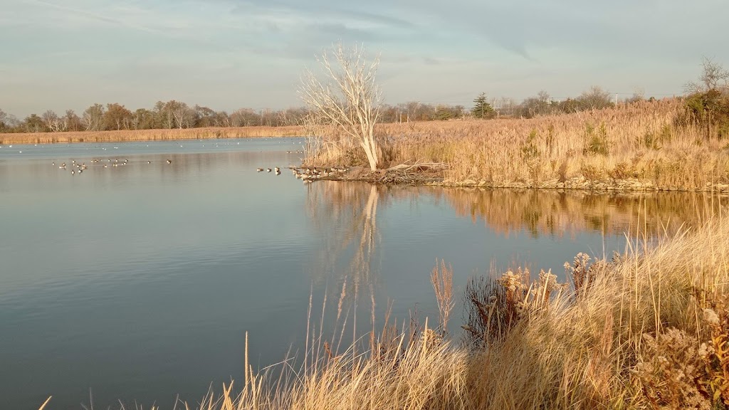 Jamaica Bay Wildlife Refuge | 175-10 Cross Bay Blvd, Queens, NY 11693 | Phone: (718) 318-4340