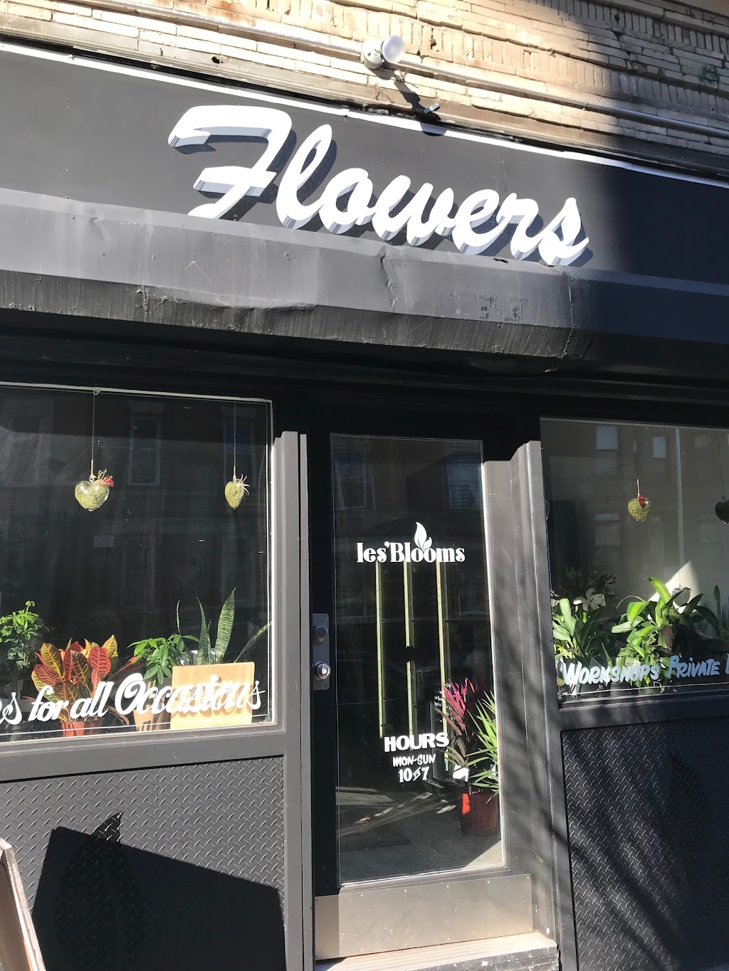 Les Blooms Floral | 65A Fenimore St # 1, Brooklyn, NY 11225 | Phone: (347) 627-4740