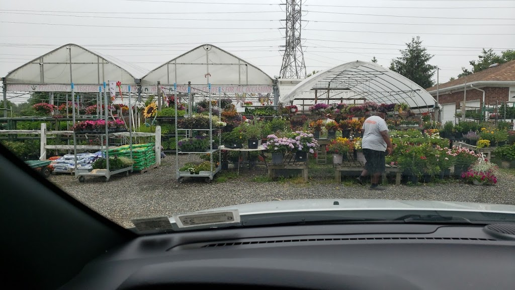 Sunshine Gardens Nursery and Greenhouse | 21 Ruland Rd unit 3, Melville, NY 11747 | Phone: (631) 293-9327