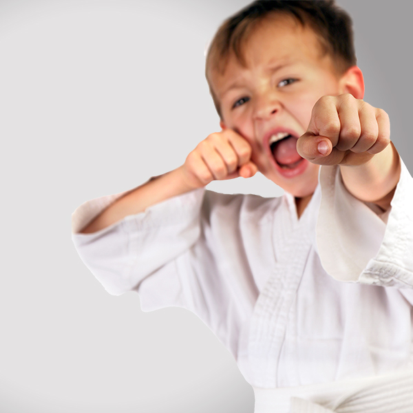 Premier Martial Arts Scarsdale | 1469 Weaver St, Scarsdale, NY 10583 | Phone: (914) 877-2434