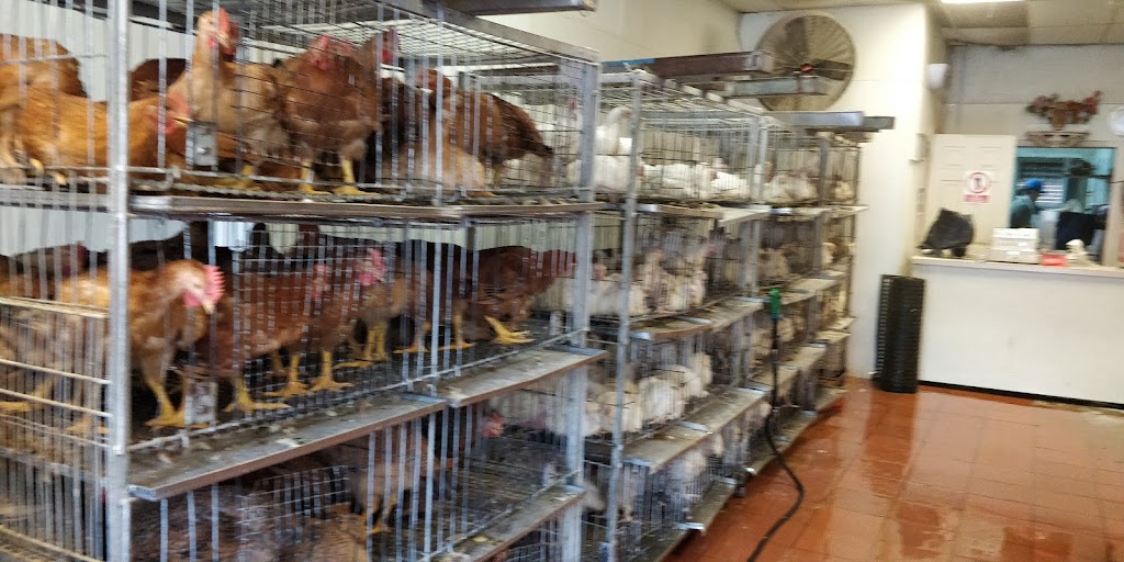 Western Live Poultry Market | 907 Bergenline Ave, Union City, NJ 07087 | Phone: (201) 865-6247