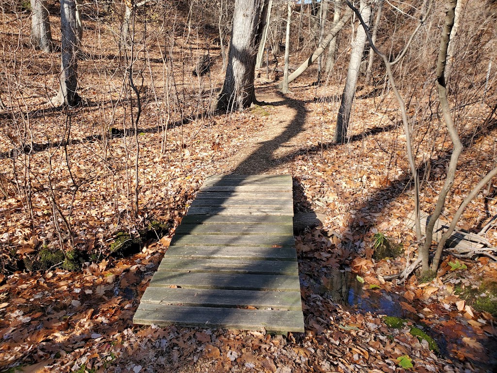 Shu Swamp Nature Preserve | 28 Frost Mill Rd, Mill Neck, NY 11765 | Phone: (516) 671-0283