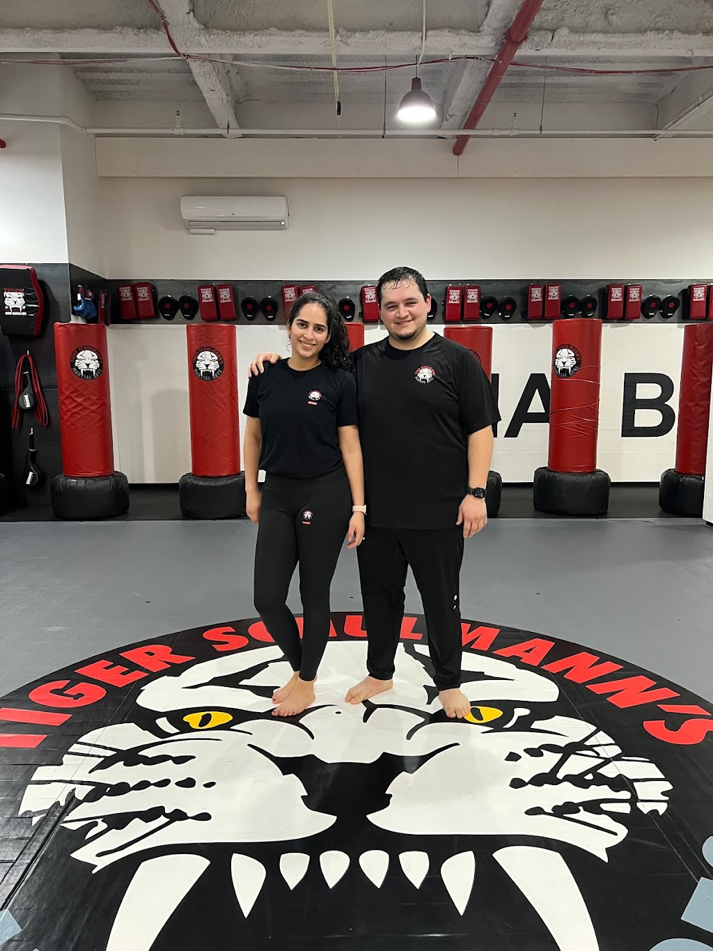 Tiger Schulmanns Martial Arts (Queens-Bellerose, NY) | 251-73 Jericho Turnpike, Queens, NY 11426 | Phone: (718) 737-9117