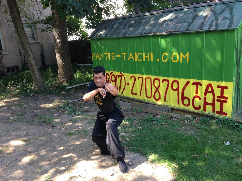 Northern Praying Mantis & Tai Chi Martial Arts Center | 820 Mamaroneck Ave, Mamaroneck, NY 10543 | Phone: (917) 270-8796