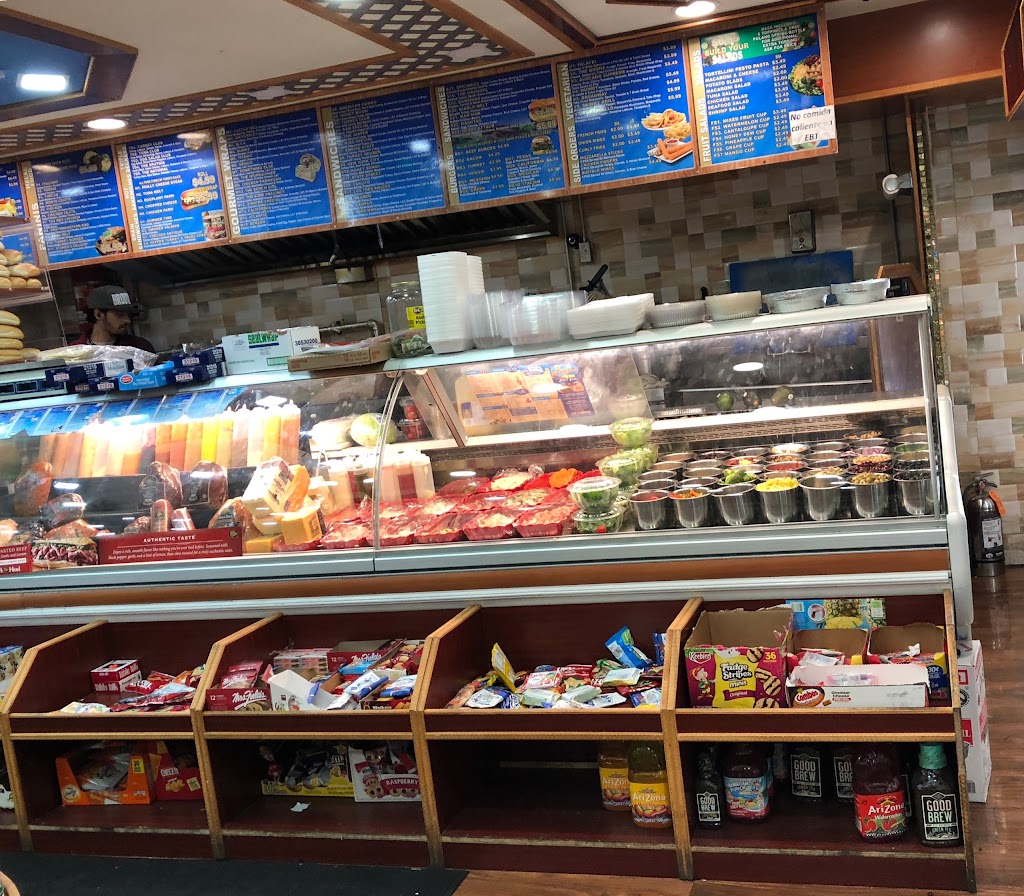 Best Deli & Grill | 1033 Castle Hill Ave, Bronx, NY 10472 | Phone: (718) 684-3660