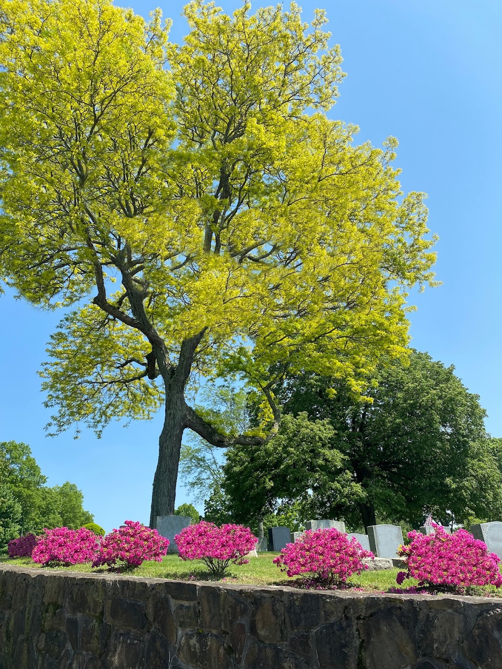 Mount Hope Cemetery | 50 Jackson Ave, Saw Mill River Rd, Hastings-On-Hudson, NY 10706 | Phone: (914) 478-1855