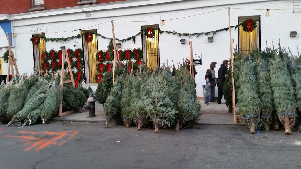 Greenpoint Trees | 79-72 Cooper Ave, Middle Village, NY 11379 | Phone: (646) 419-8152