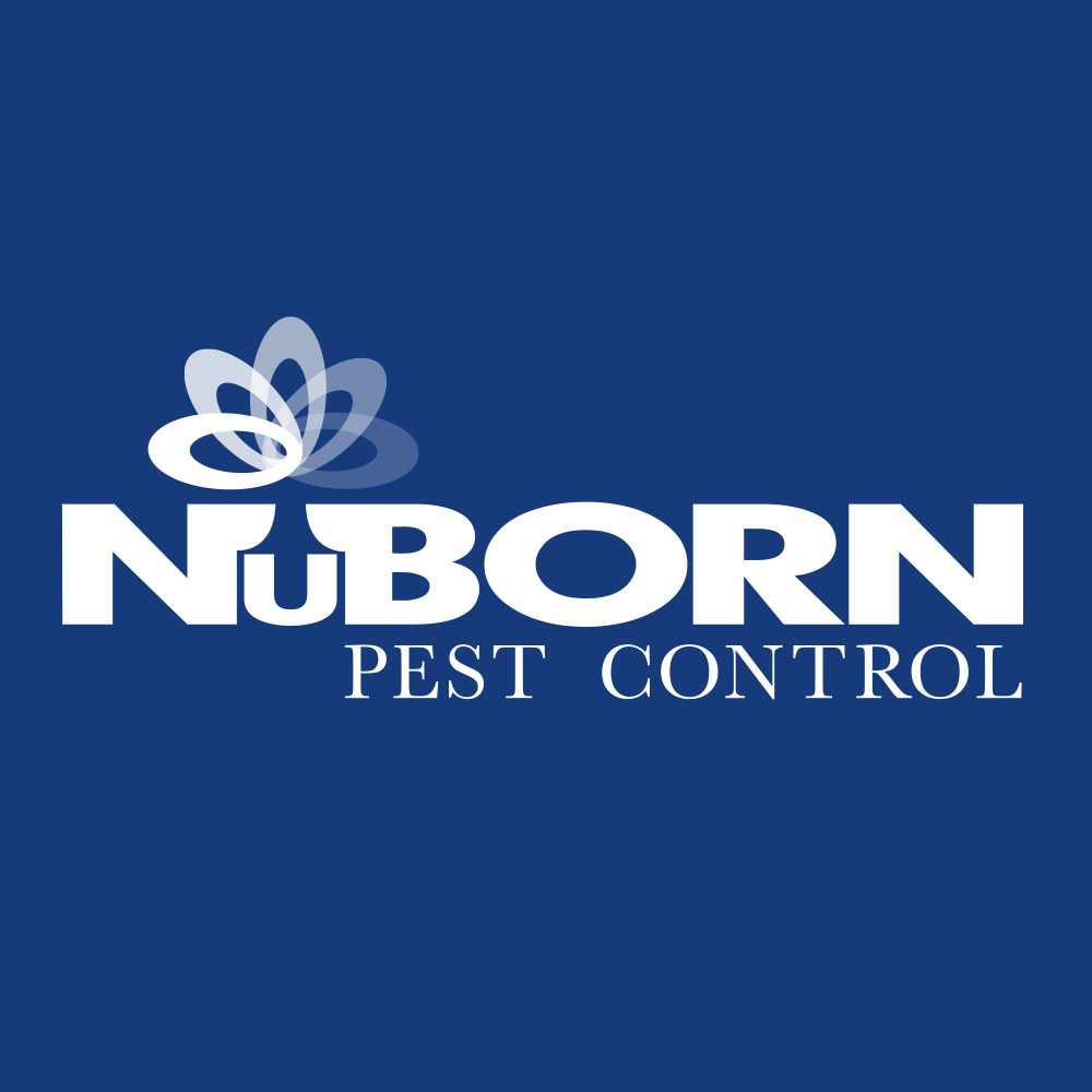 NuBorn Pest Control | 154 E Boston Post Rd, Mamaroneck, NY 10543 | Phone: (914) 239-3831