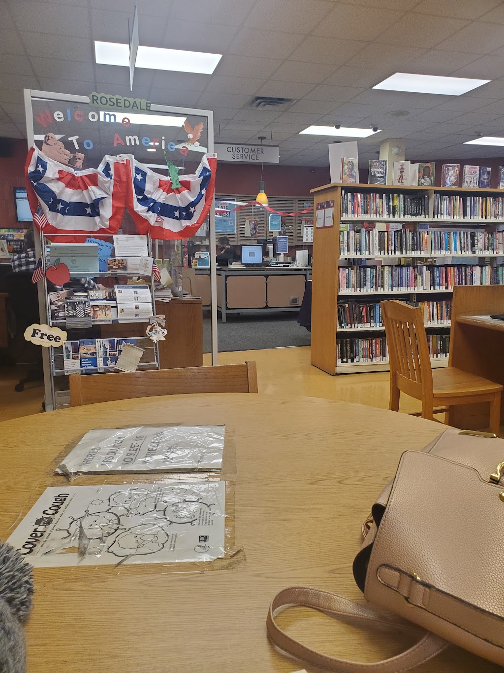 Queens Public Library at Rosedale | 144-20 243rd St, Rosedale, NY 11422 | Phone: (718) 528-8490