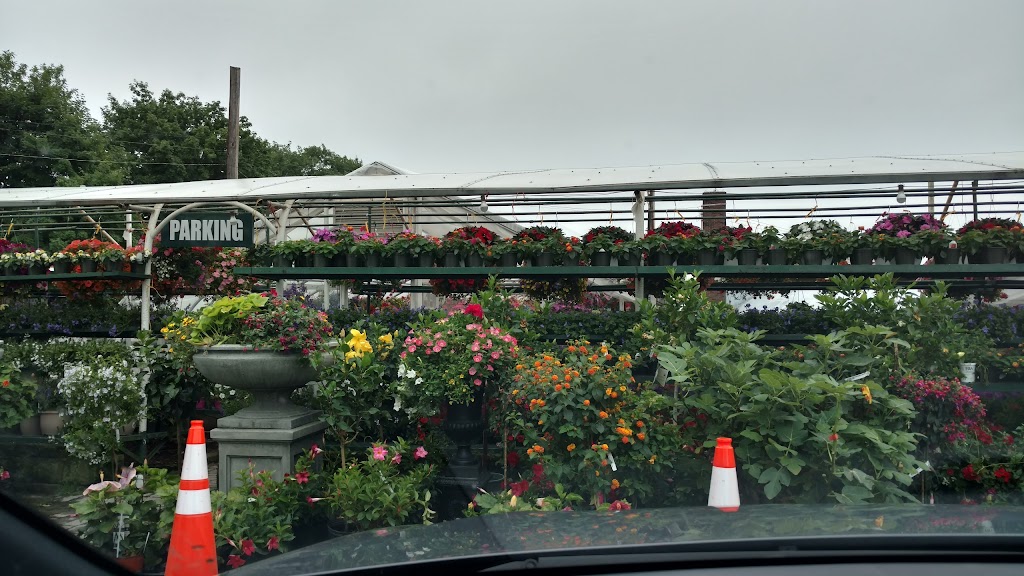 Gedney Farms Nursery | 870 Mamaroneck Ave, White Plains, NY 10605 | Phone: (914) 949-4100