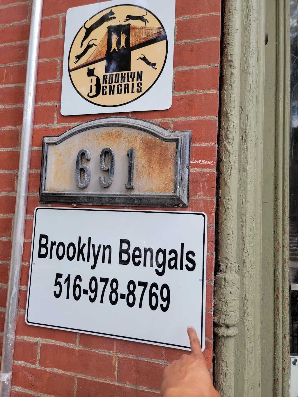 Brooklyn Bengals | 691 Degraw St, Brooklyn, NY 11217 | Phone: (516) 978-8769