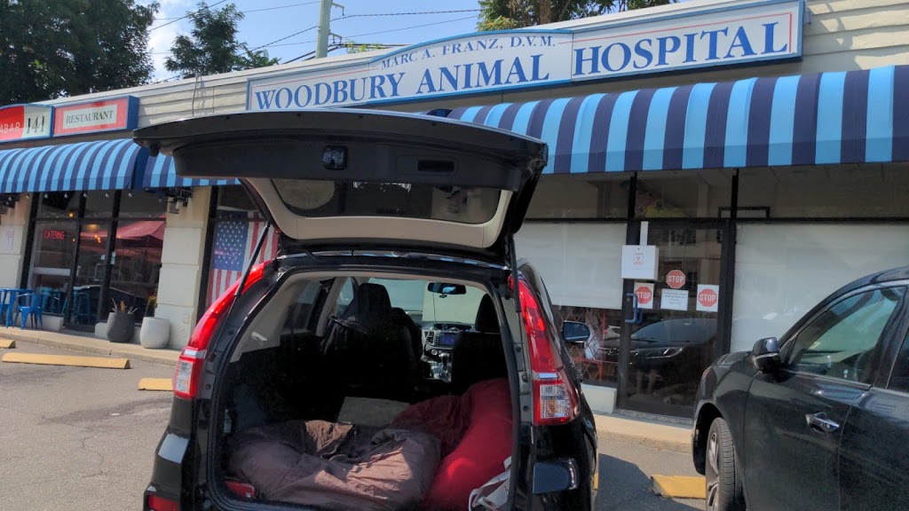 Woodbury Animal Hospital | 145 Woodbury Rd, Woodbury, NY 11797 | Phone: (516) 367-7100