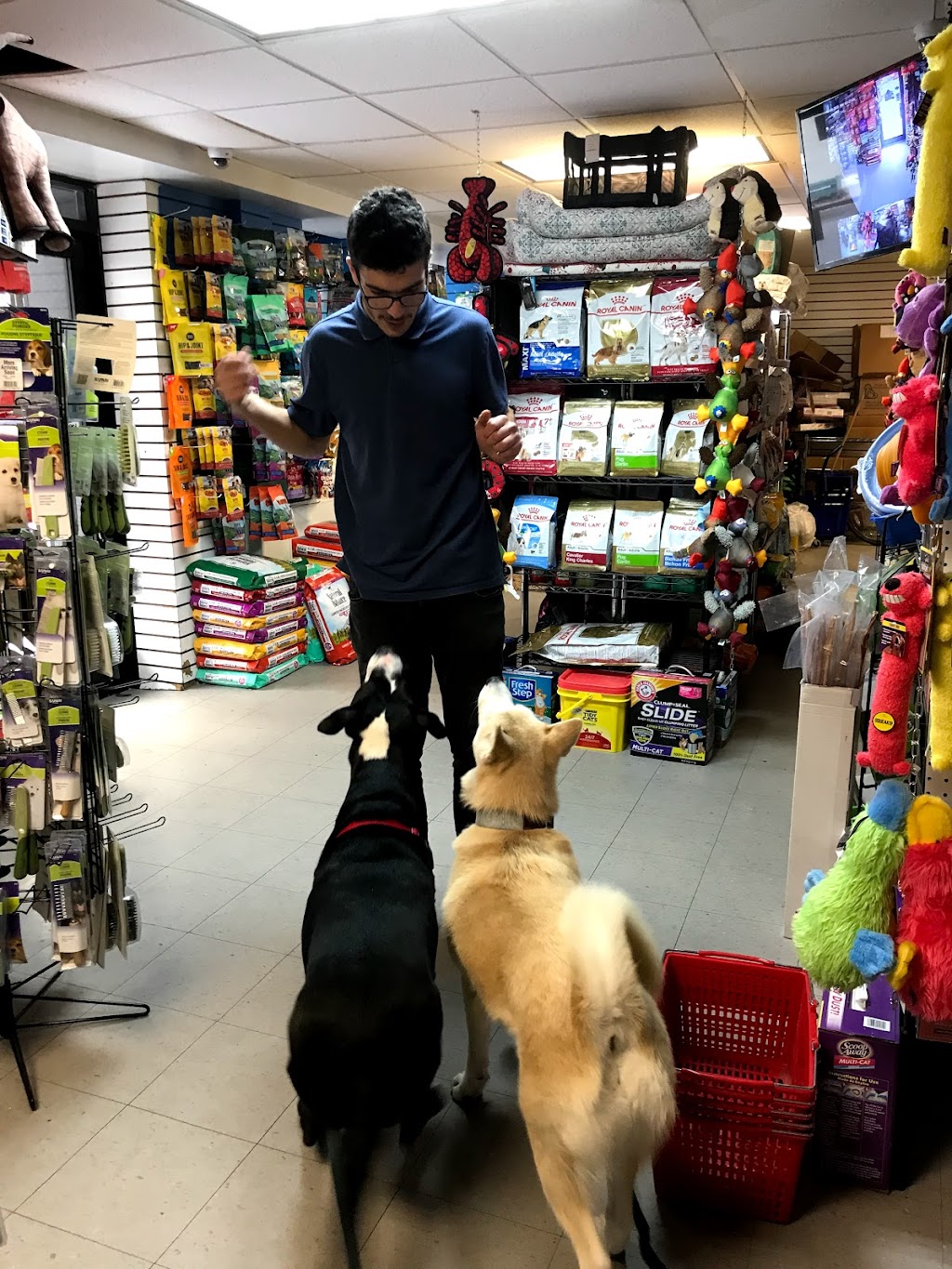 Pets on Broadway NYC | 600 W 149th St, New York, NY 10031 | Phone: (917) 409-0465