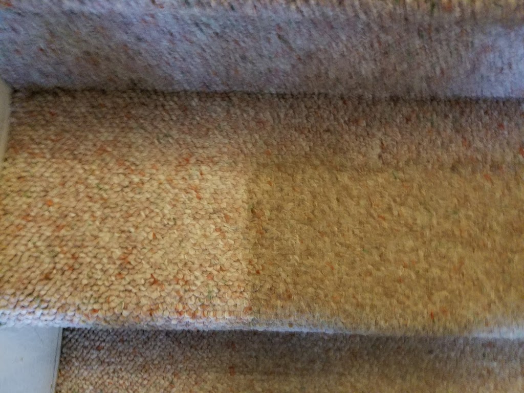 Tri-County Carpet Cleaning 11756 | 55 Hawk Ln, Levittown, NY 11756 | Phone: (516) 644-1762