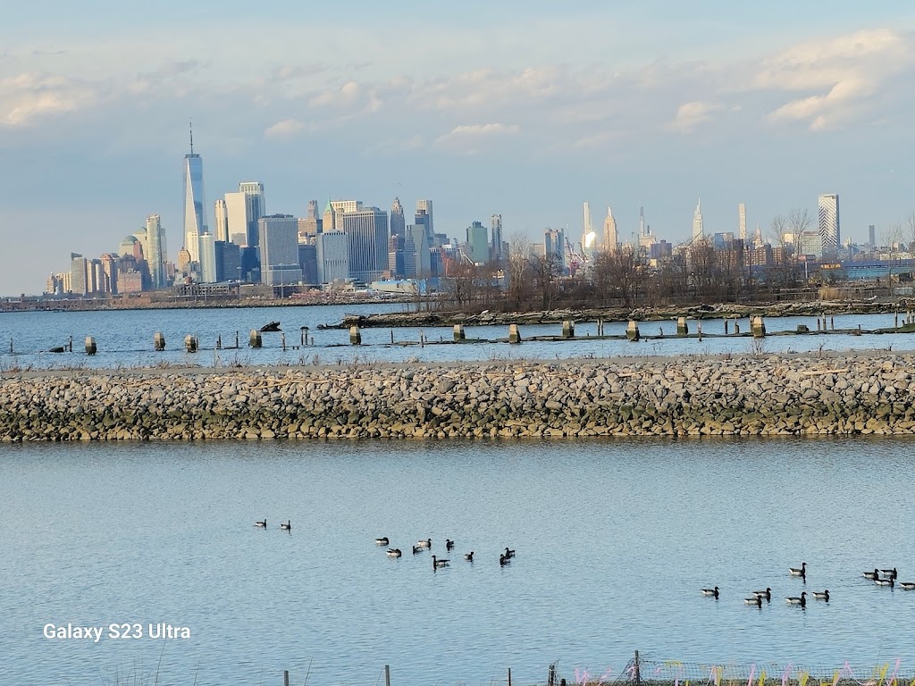 Bush Terminal Piers Park | Marginal St. &, 43rd St, Brooklyn, NY 11232 | Phone: (212) 639-9675