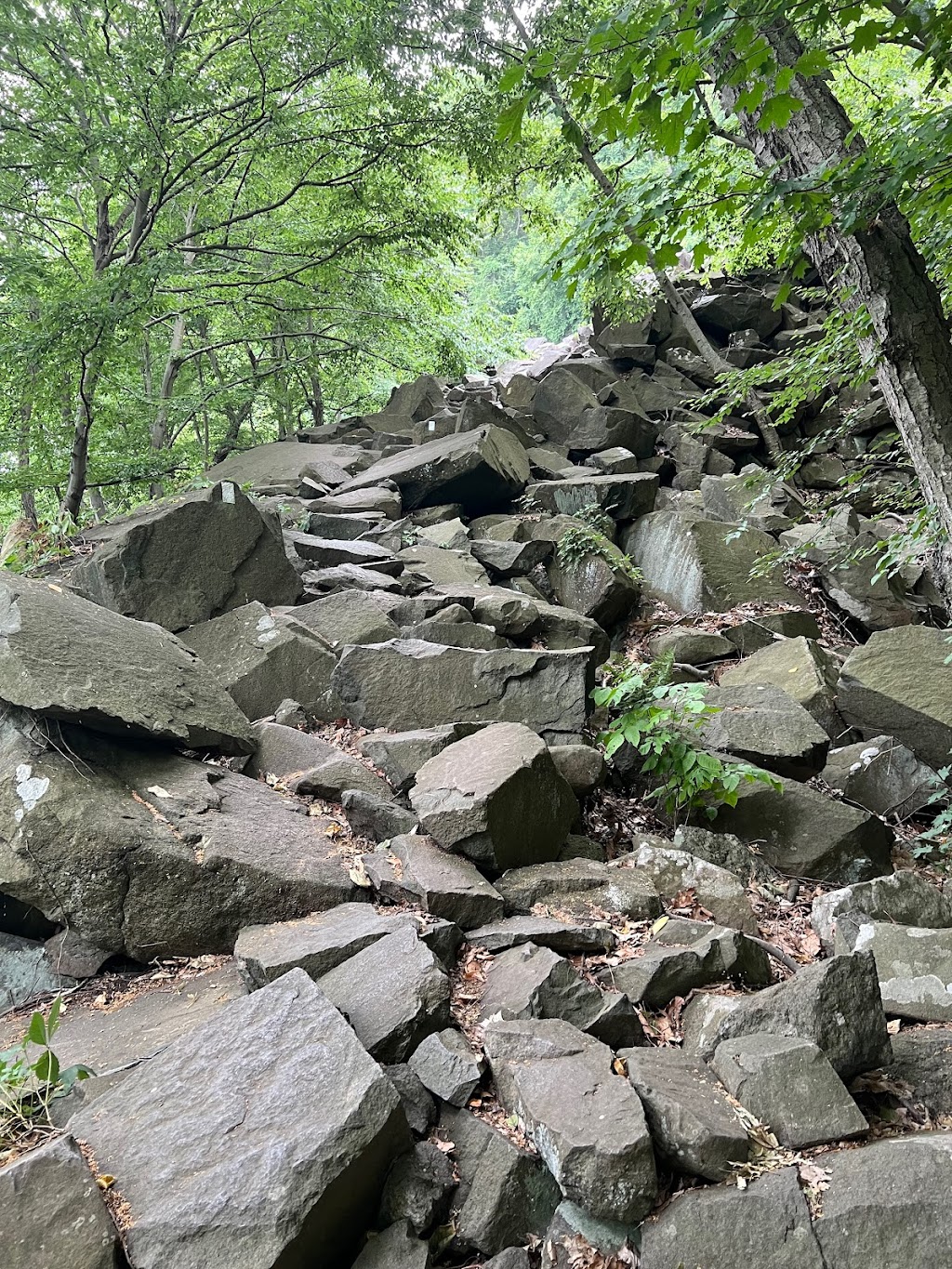 Giant Stairs Palisades | Shore Trail, Closter, NJ 07624 | Phone: (201) 750-0465