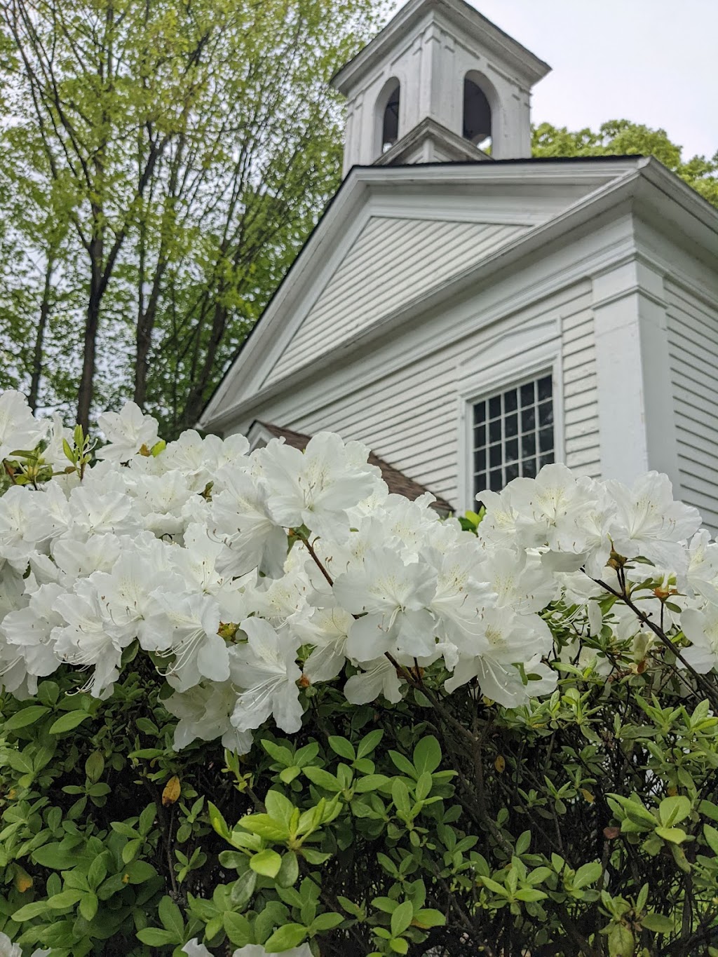 The Orthodox Christian Church of the Holy Transfiguration | 35 Sickletown Rd, Pearl River, NY 10965 | Phone: (845) 548-3170