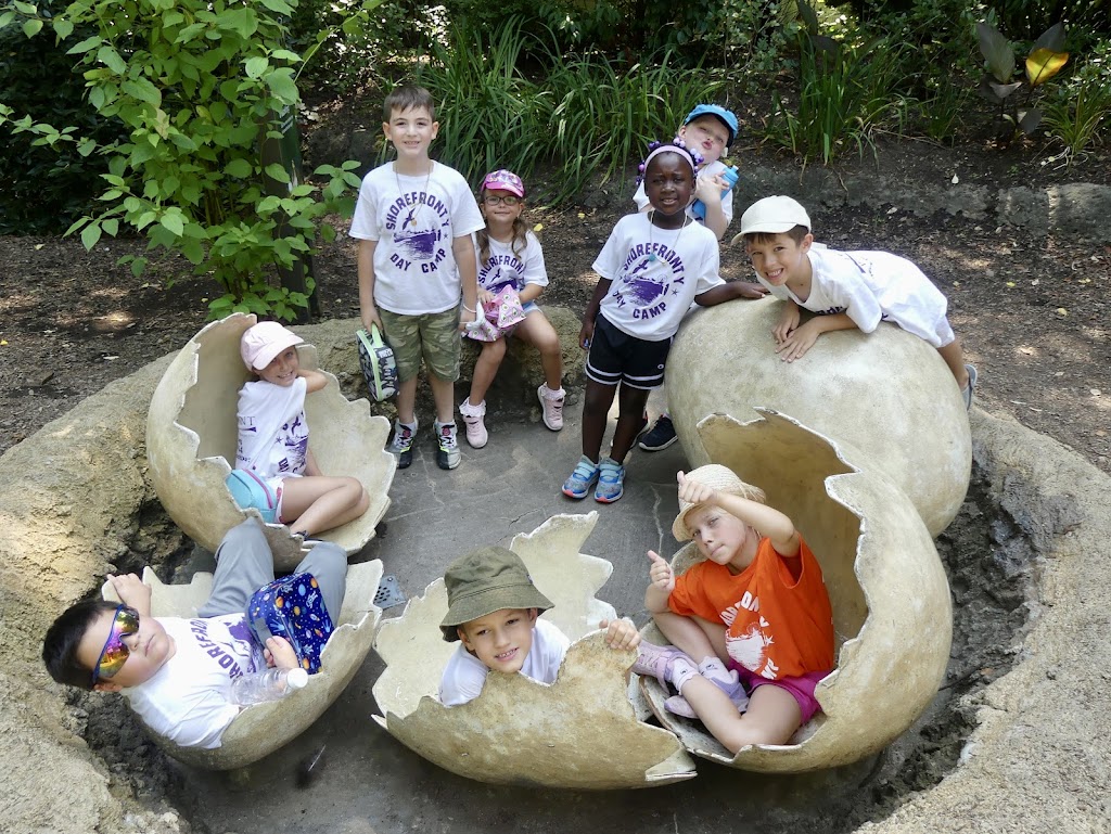 Summer Day Camp at Shorefront Y | 3300 Coney Island Ave, Brooklyn, NY 11235 | Phone: (718) 646-1444