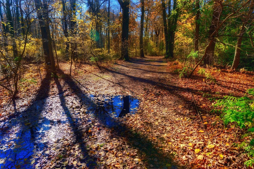 Muttontown Preserve Equestrian Center | Jericho Oyster Bay Rd, Syosset, NY 11791 | Phone: (516) 571-8500