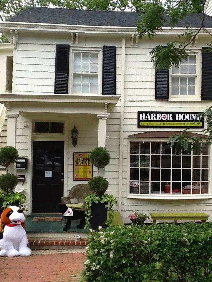 Harbor Hound | 135 Main St, Cold Spring Harbor, NY 11724 | Phone: (631) 659-3999