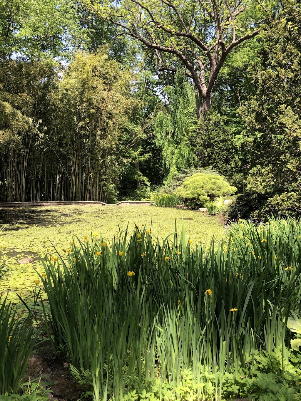 John P. Humes Japanese Stroll Garden | 347 Oyster Bay Road, Mill Neck, NY 11765 | Phone: (516) 676-4486