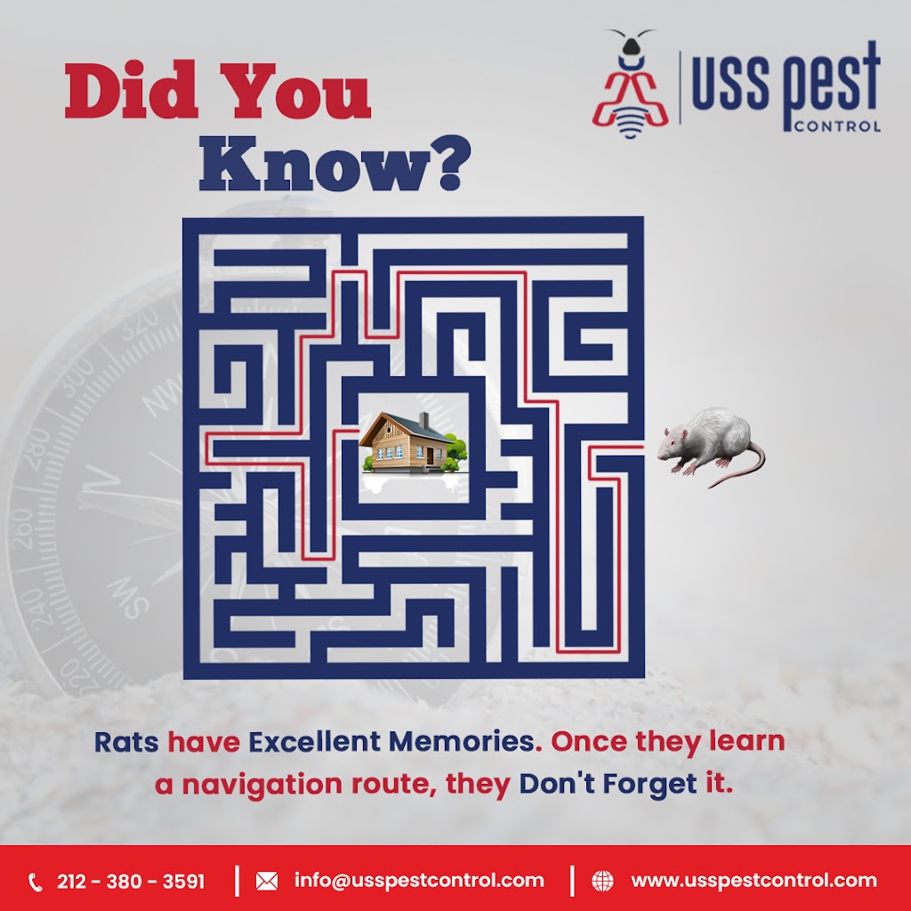 USS Pest Control Inc | 1570 Rosser Ave, Elmont, NY 11003 | Phone: (212) 380-3591