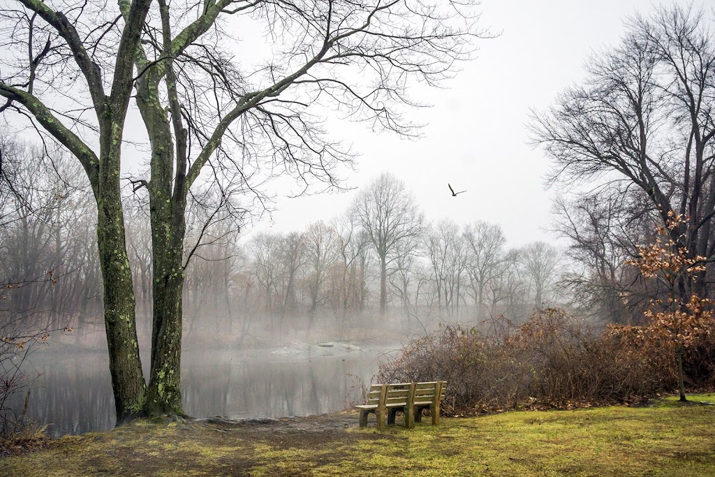 Sheldrake Environmental Center | 685 Weaver St, Larchmont, NY 10538 | Phone: (914) 834-1443