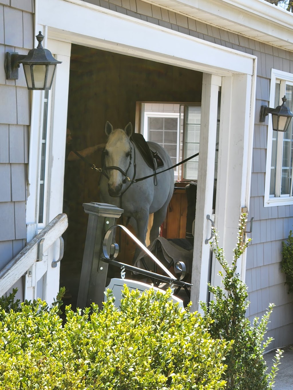 Amara Equestrian | 6080 Northern Blvd, East Norwich, NY 11732 | Phone: (516) 242-3247