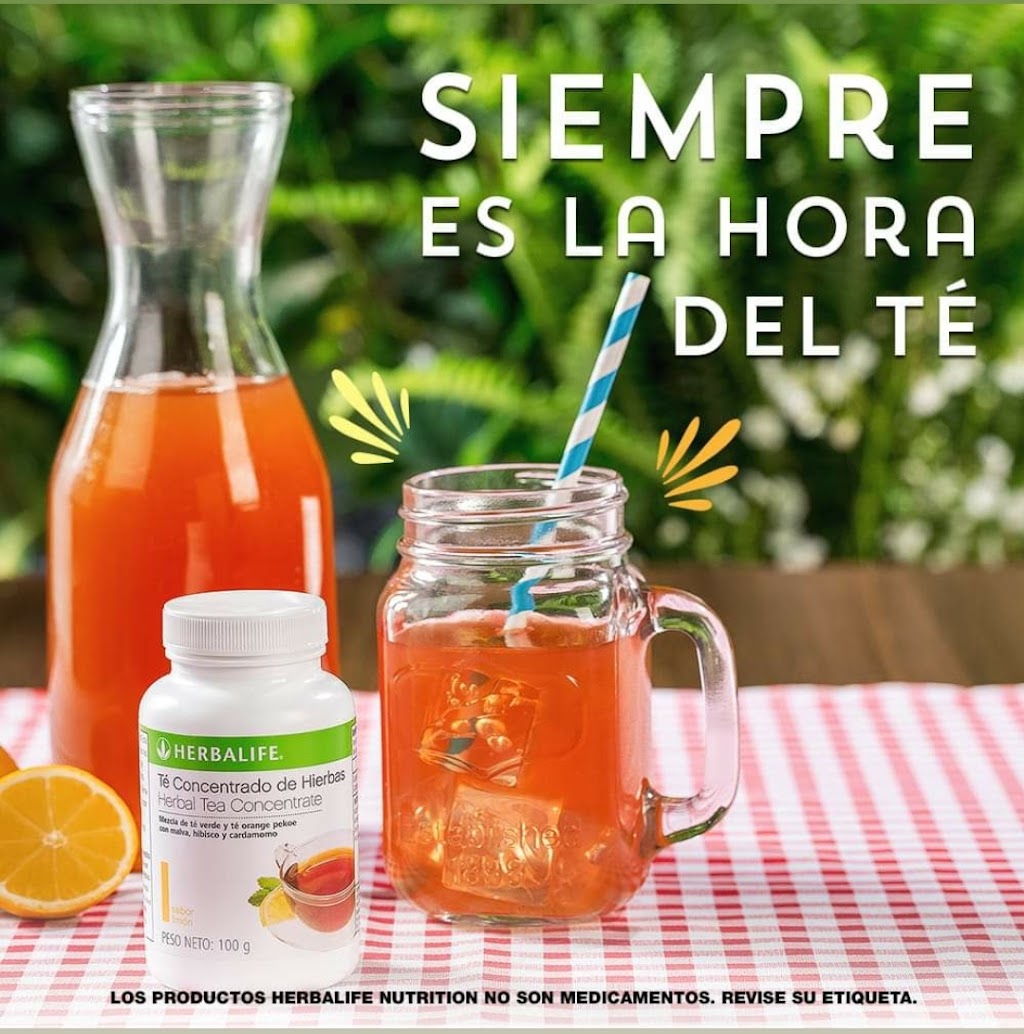 HERBALIFE NUTRITION DIST IND | 600 Morris Ave, Bronx, NY 10451 | Phone: (917) 402-2896