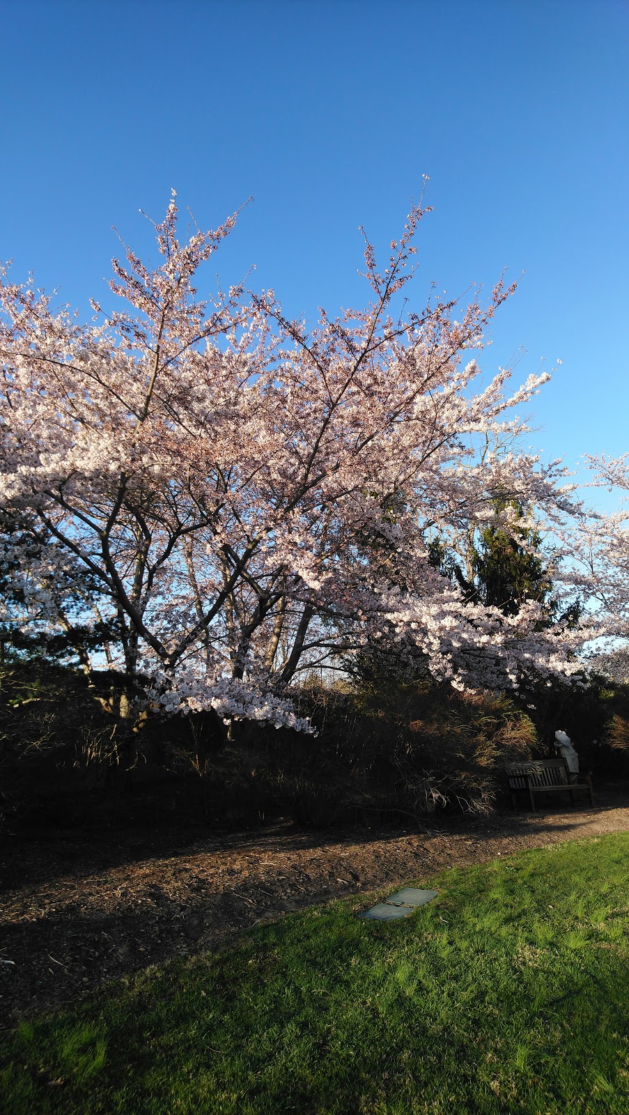 Walled Garden - Caumsett State Historic Park Preserve | 25 Lloyd Harbor Rd, Lloyd Harbor, NY 11743 | Phone: (631) 423-1770