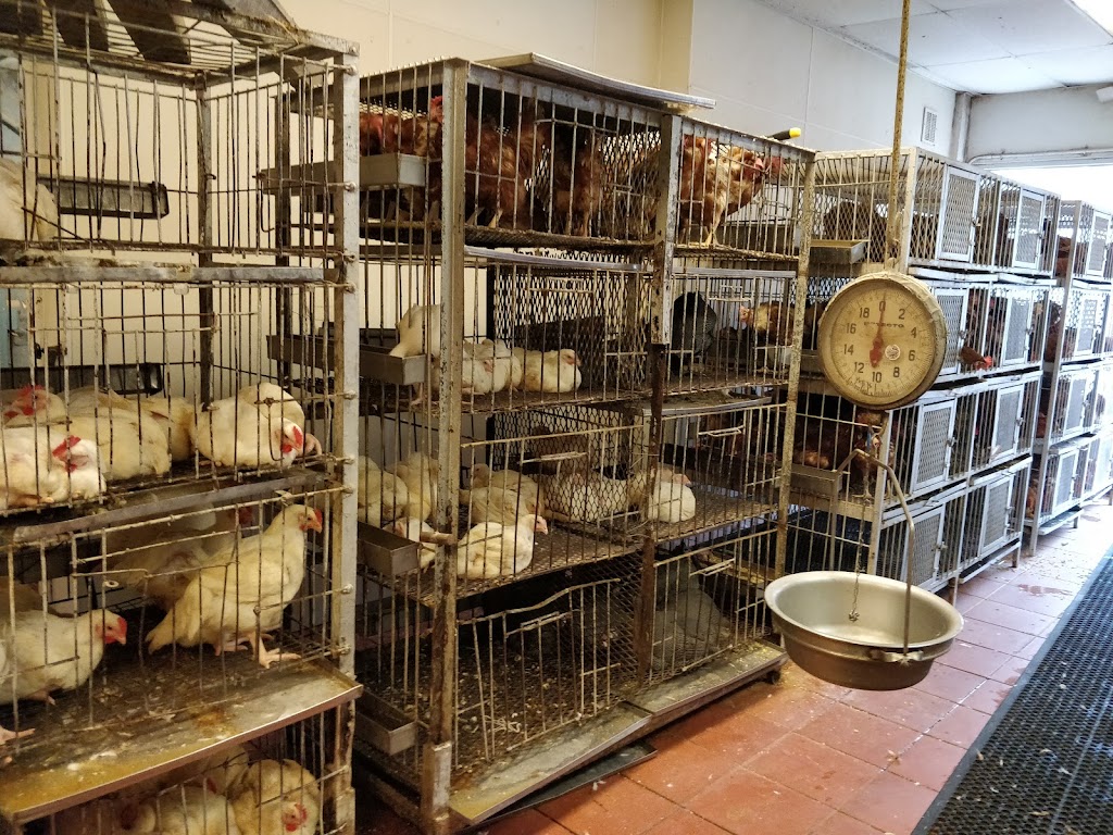 Western Live Poultry Market | 907 Bergenline Ave, Union City, NJ 07087 | Phone: (201) 865-6247