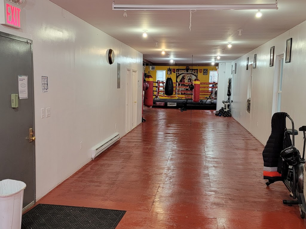 Lions Roar Boxing Gym | 2832 Valentine Ave, Bronx, NY 10458 | Phone: (347) 928-1764