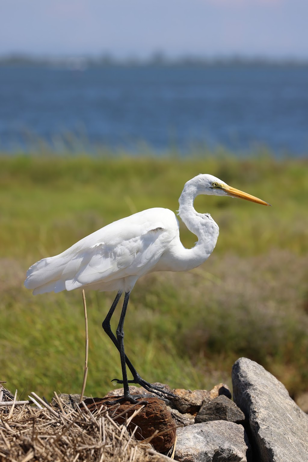 Marine Nature Study Area | 500 Slice Dr, Oceanside, NY 11572 | Phone: (516) 766-1580