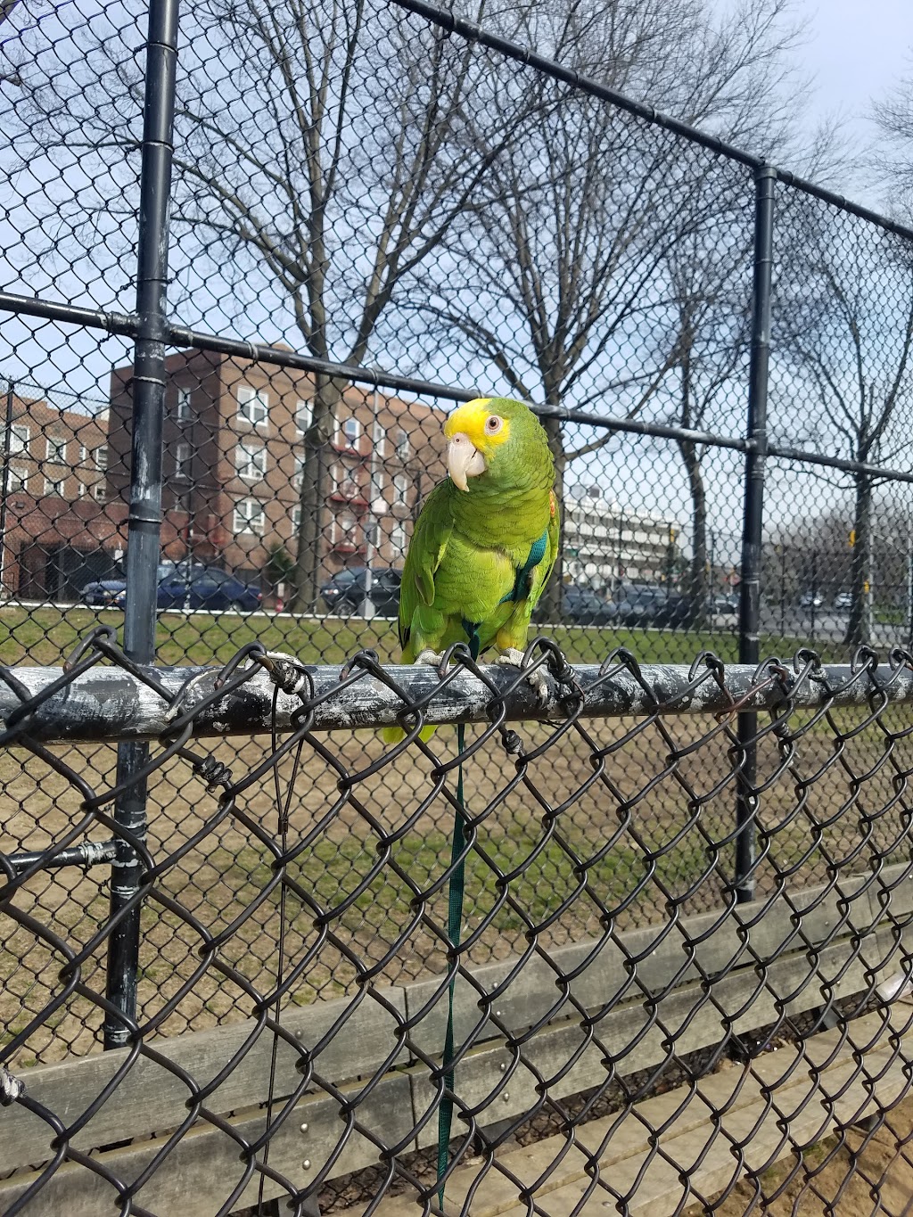 Judge Moses Weinstein Playground | 141-33 Union Tnpk, Flushing, NY 11367 | Phone: (212) 639-9675