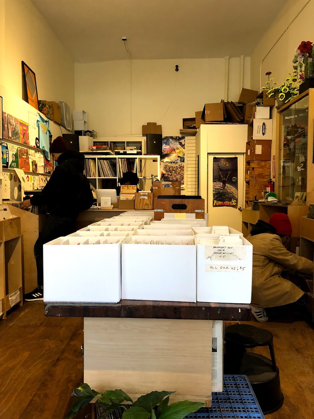 Record City | 65 Fenimore St, Brooklyn, NY 11225 | Phone: (718) 618-7650