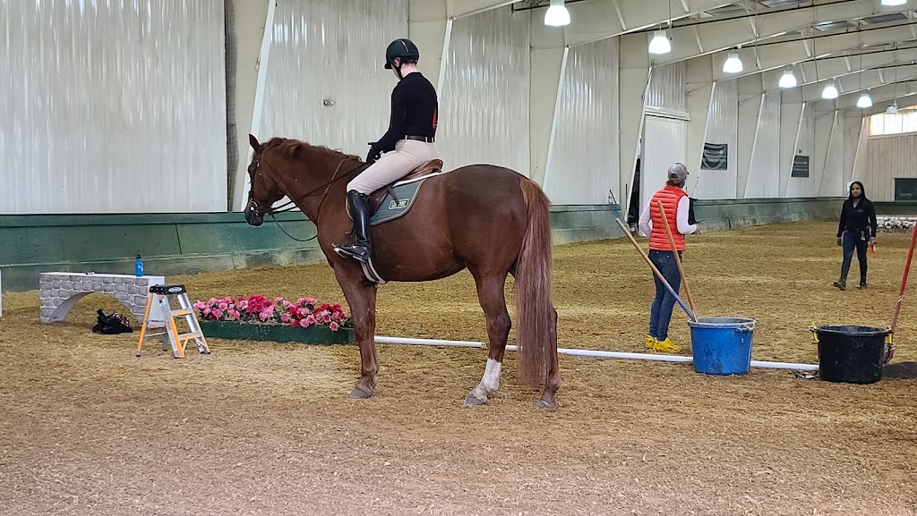 North Shore Equestrian Center | 720 Northern Blvd, Greenvale, NY 11548 | Phone: (516) 626-9714