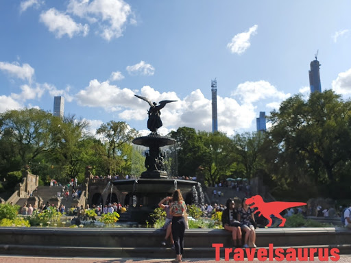 Travelsaurus New York | 1703 Summerfield St, Ridgewood, NY 11385 | Phone: (347) 785-9390