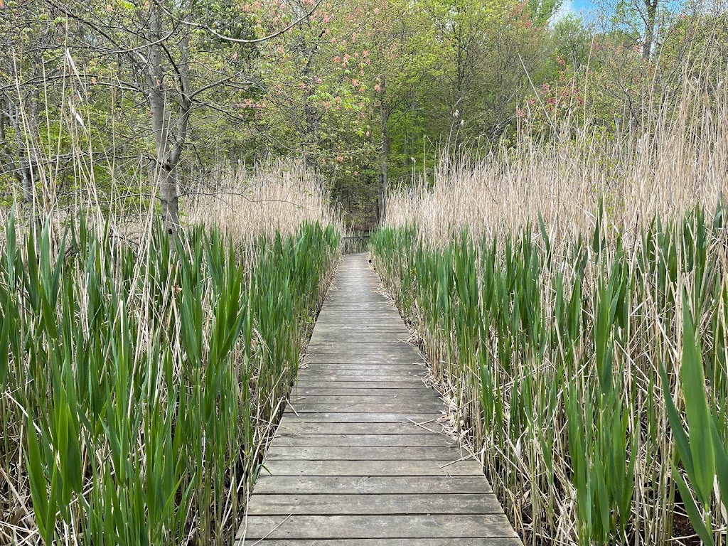 OHara Nature Center | 170 Mountain Rd, Irvington, NY 10533 | Phone: (914) 591-7736