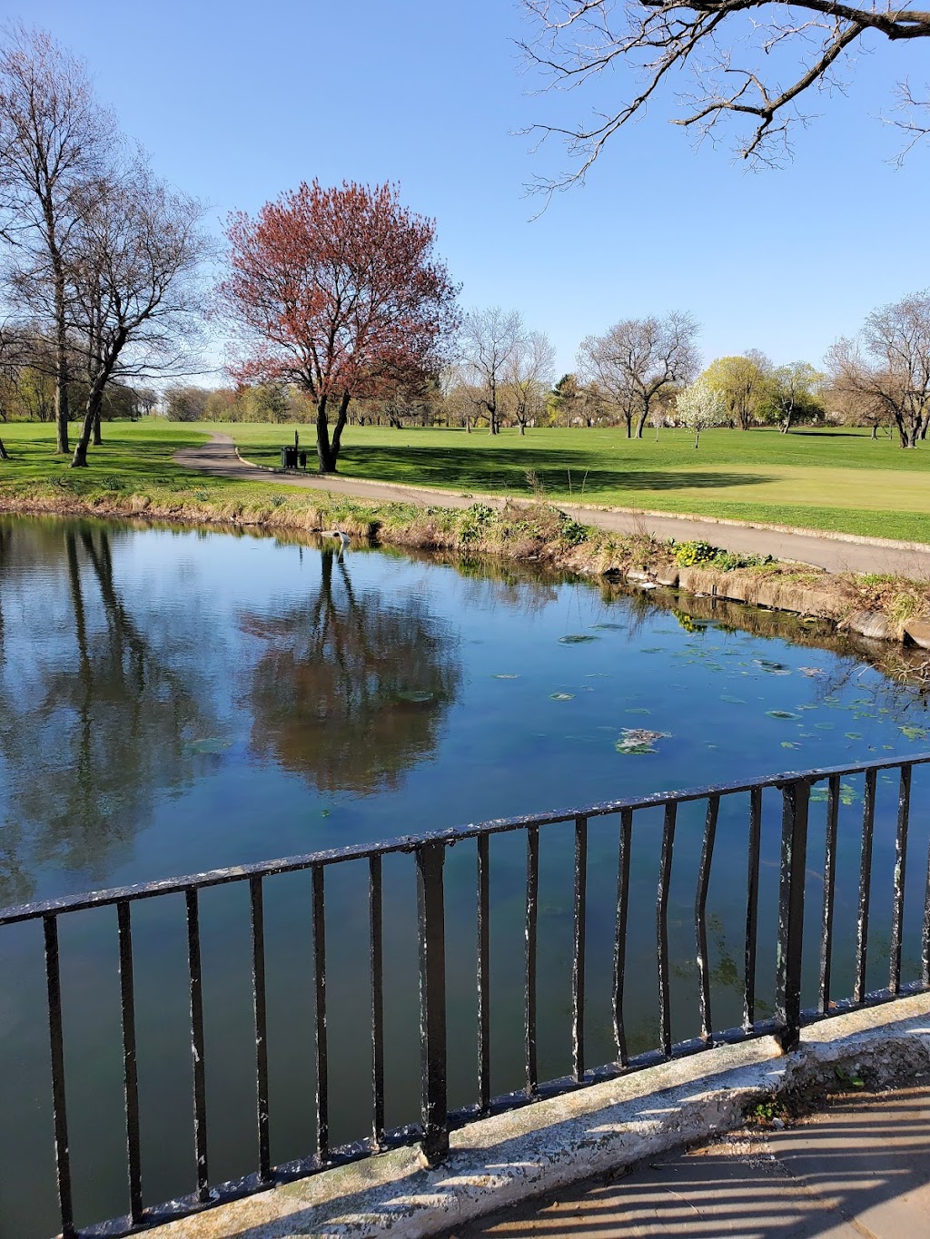 Clearview Park Golf Course | 202-12 Willets Point Blvd, Queens, NY 11360 | Phone: (718) 229-2570