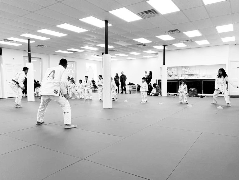 A-Force Brazilian Jiu Jitsu Academy Syosset | 235 Robbins Ln #2, Syosset, NY 11791 | Phone: (516) 344-7812