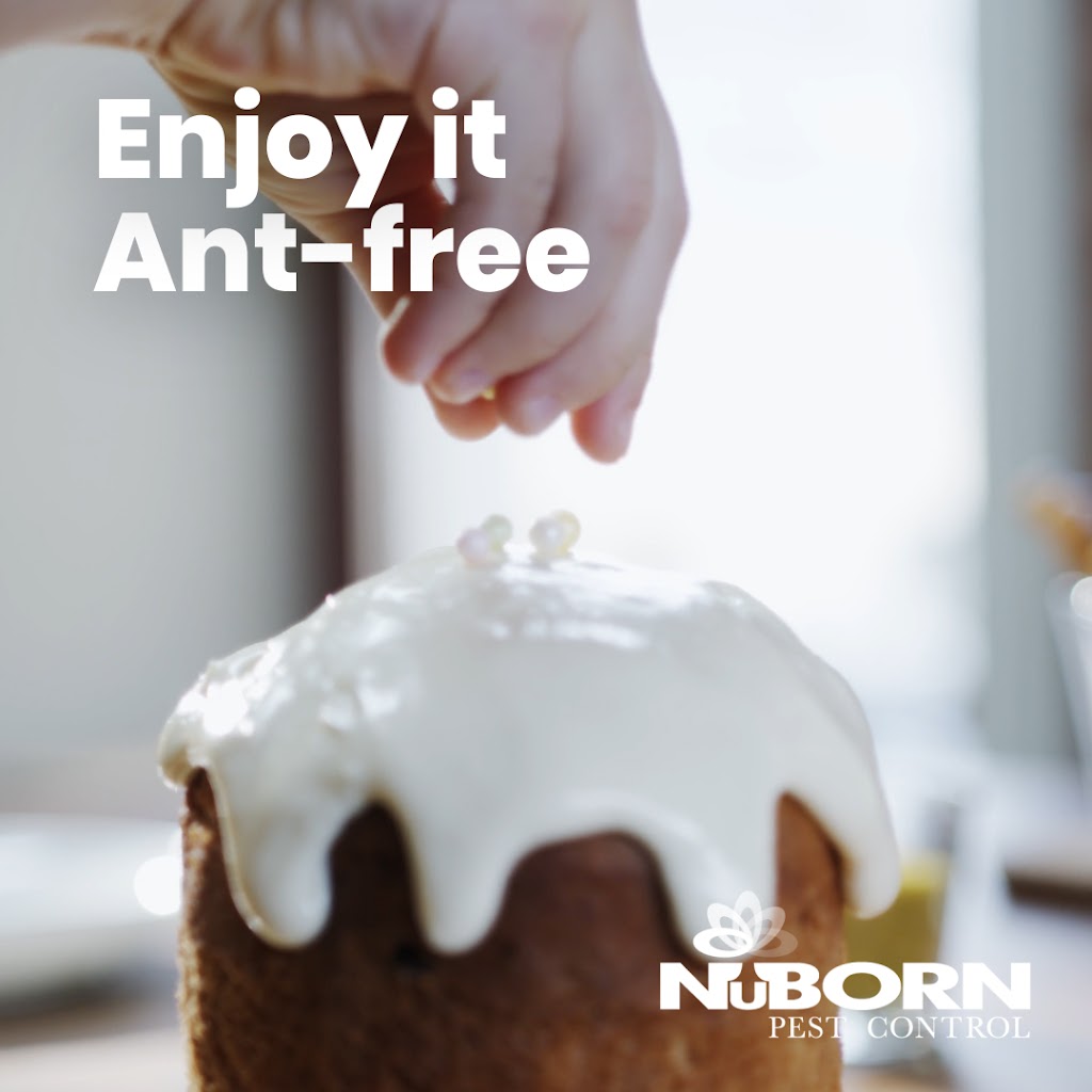 NuBorn Pest Control | 154 E Boston Post Rd, Mamaroneck, NY 10543 | Phone: (914) 239-3831