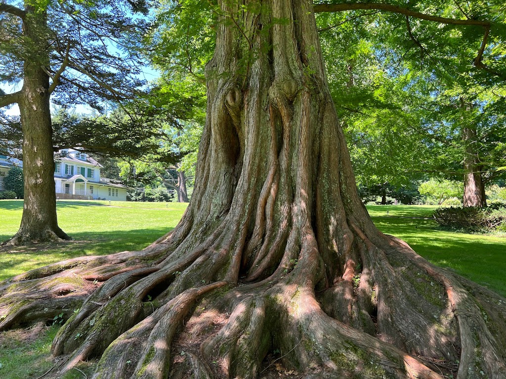 Bailey Arboretum County Park | 216 Bayville Rd, Locust Valley, NY 11560 | Phone: (516) 801-1458