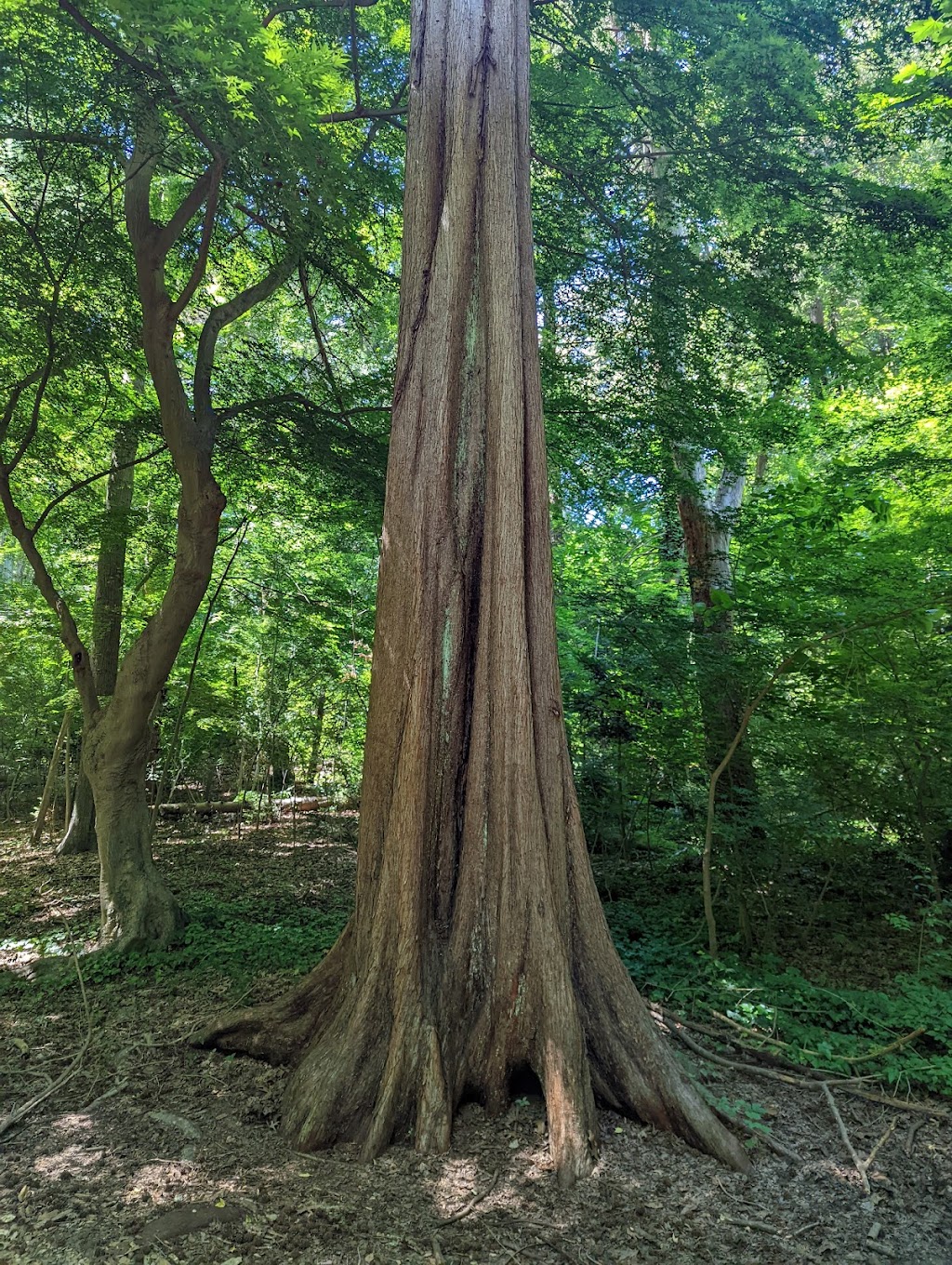 Bailey Arboretum | 194 Bayville Rd, Locust Valley, NY 11560 | Phone: (516) 801-1458