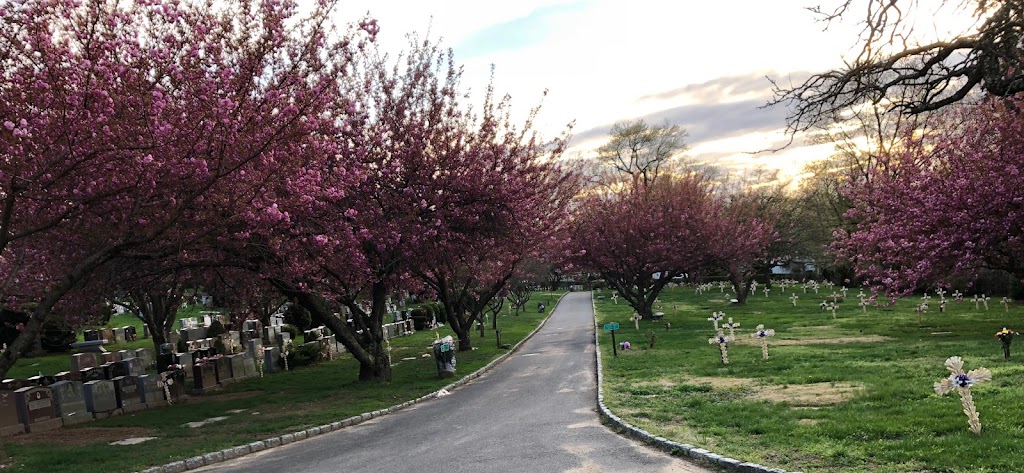 All Saints Cemetery | Great Neck, NY 11024 | Phone: (516) 482-5392