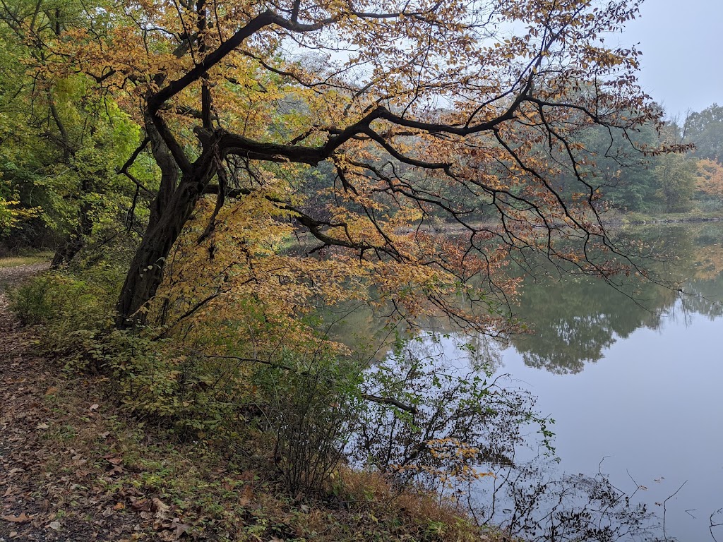 Halsey Pond Tea House | 4 Castle Rd, Irvington, NY 10533 | Phone: (347) 843-9139