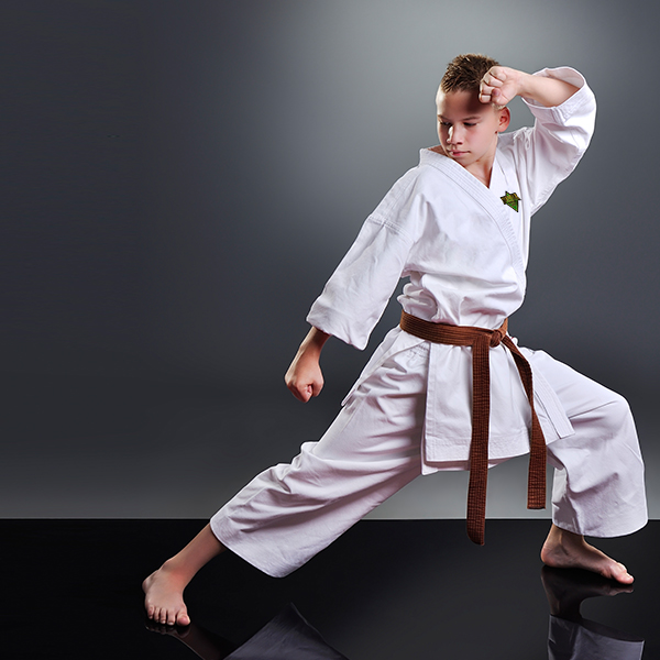 Premier Martial Arts Scarsdale | 1469 Weaver St, Scarsdale, NY 10583 | Phone: (914) 877-2434