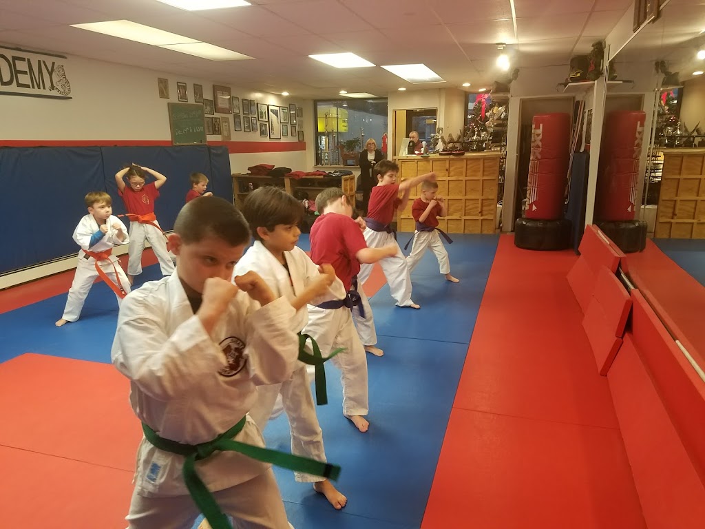 US Karate Academy | 326 Long Beach Rd, Island Park, NY 11558 | Phone: (516) 431-8293